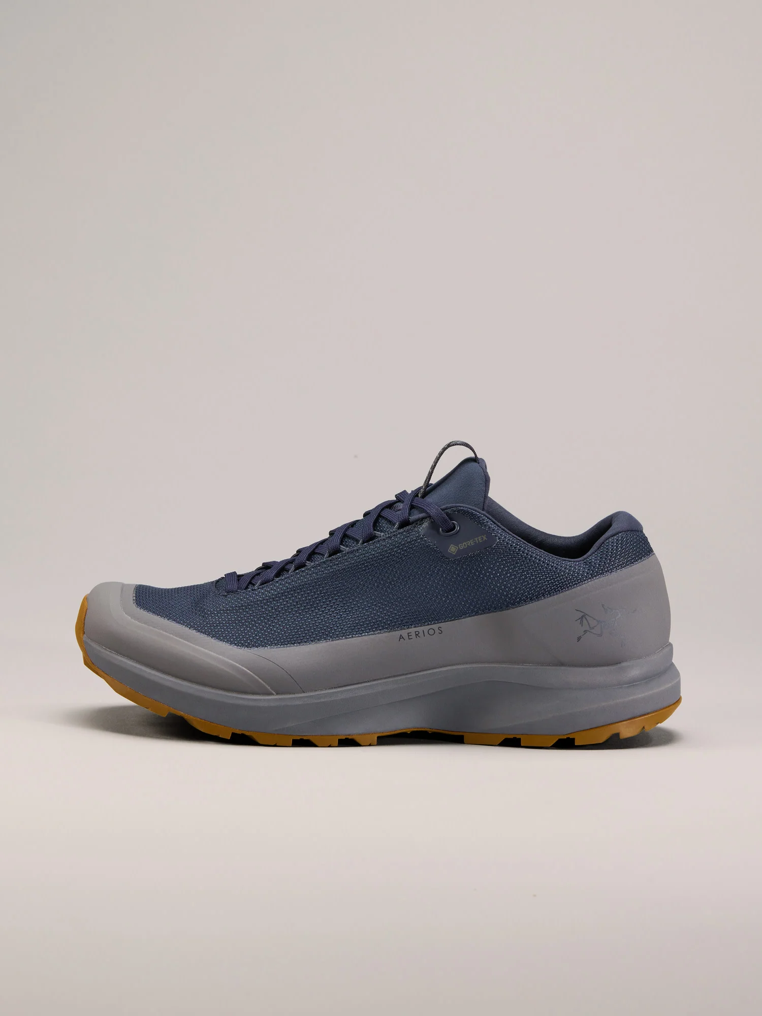 Aerios FL 2 GTX Shoe Men's