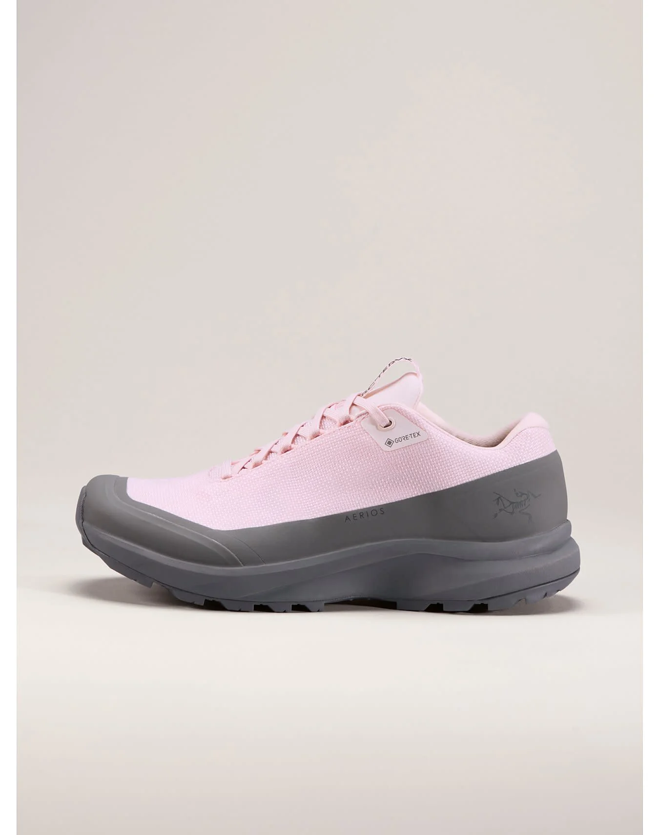 Aerios FL 2 GTX Shoe Women's