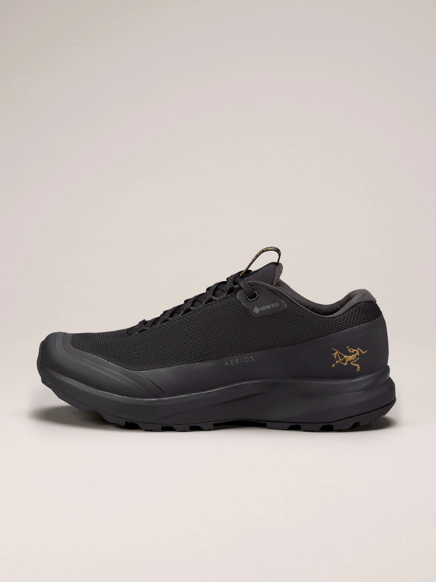 Aerios FL 2 GTX Shoe Women's
