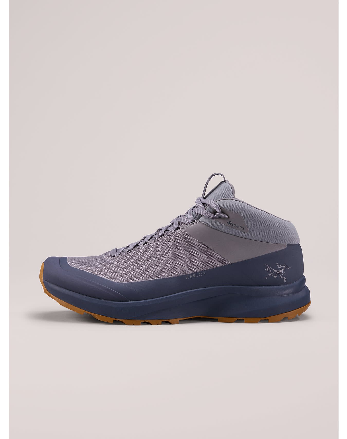 Aerios FL 2 Mid GTX Shoe Men's