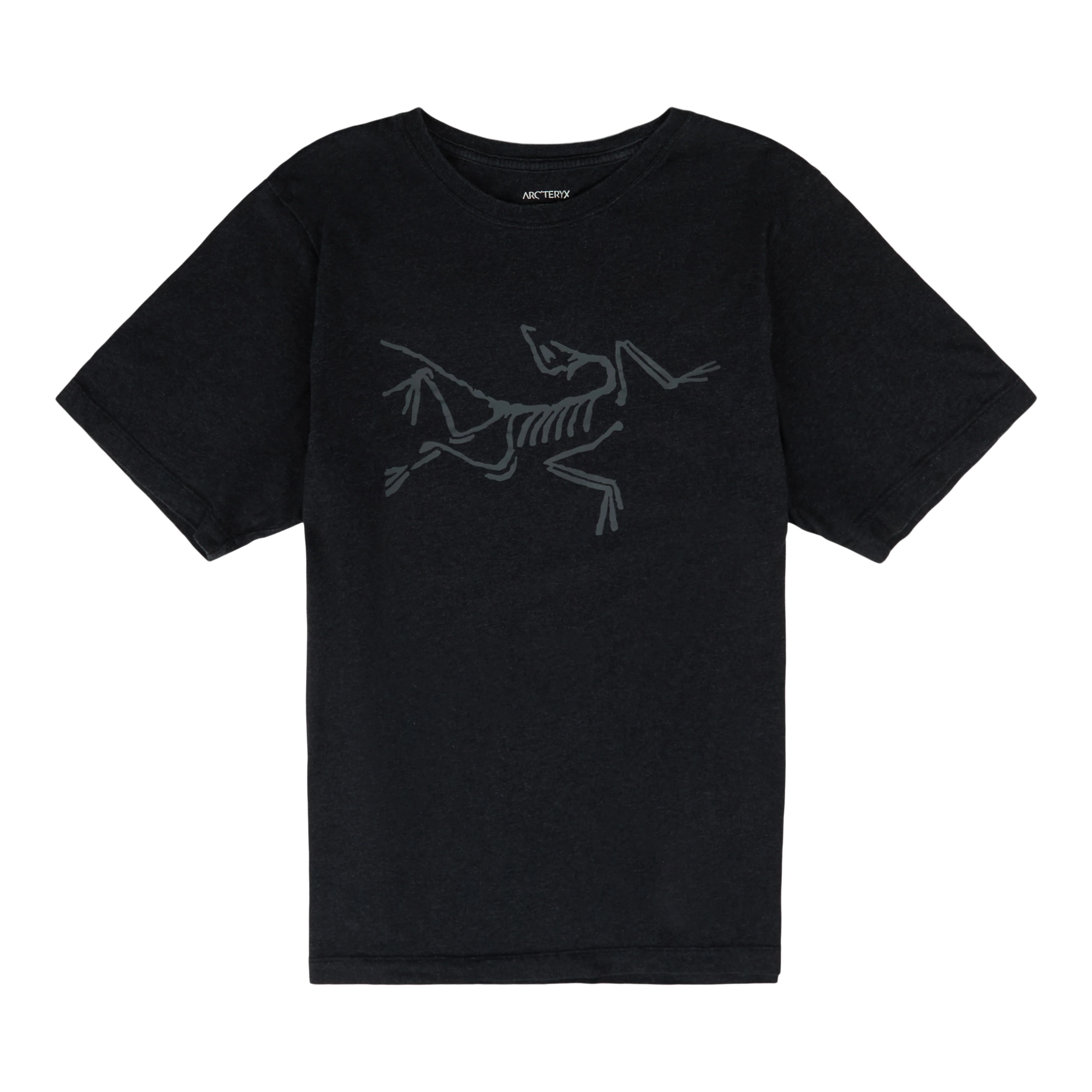 Archaeopteryx T-Shirt SS Men's