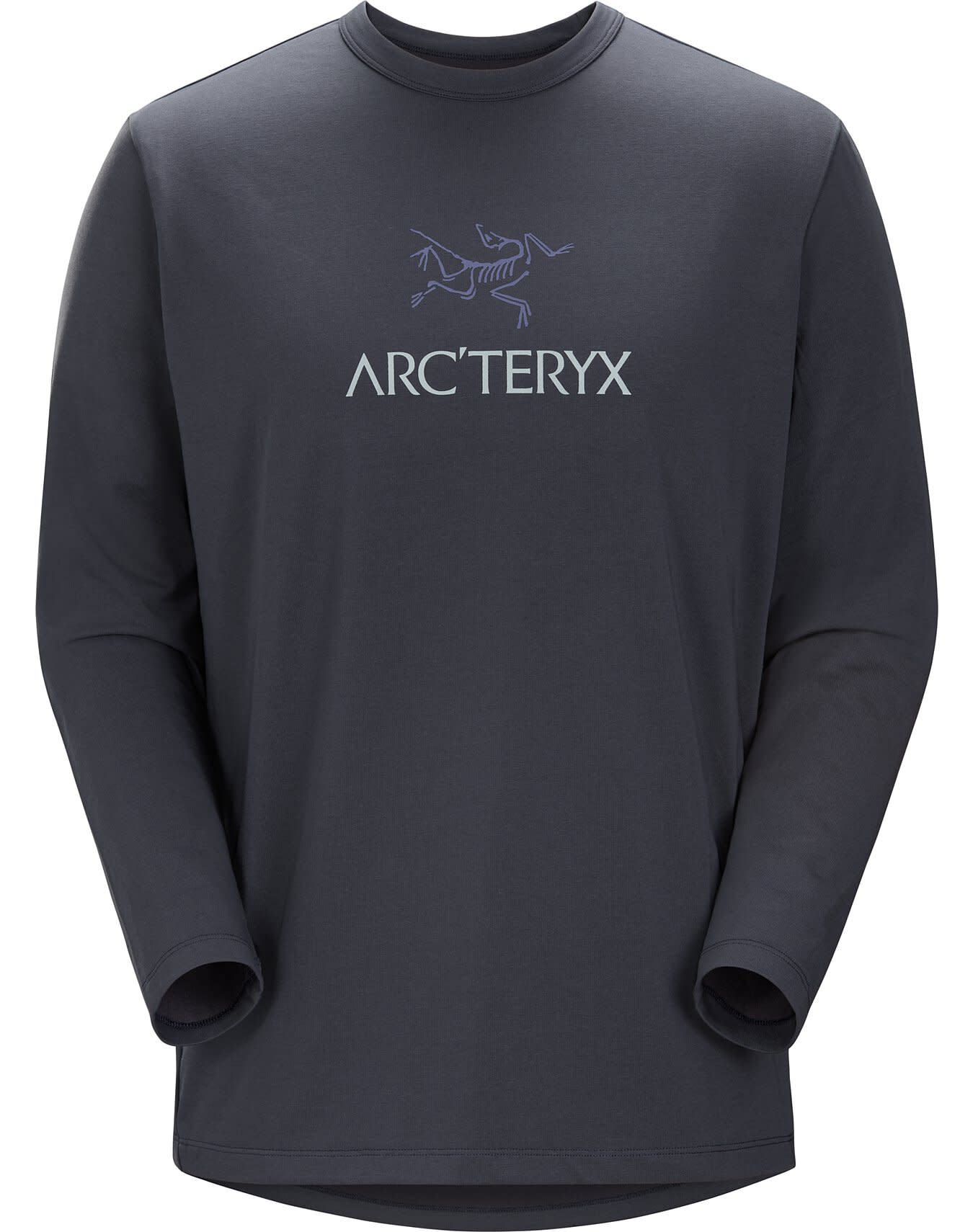 Captive Arc'Word Shirt LS Men's