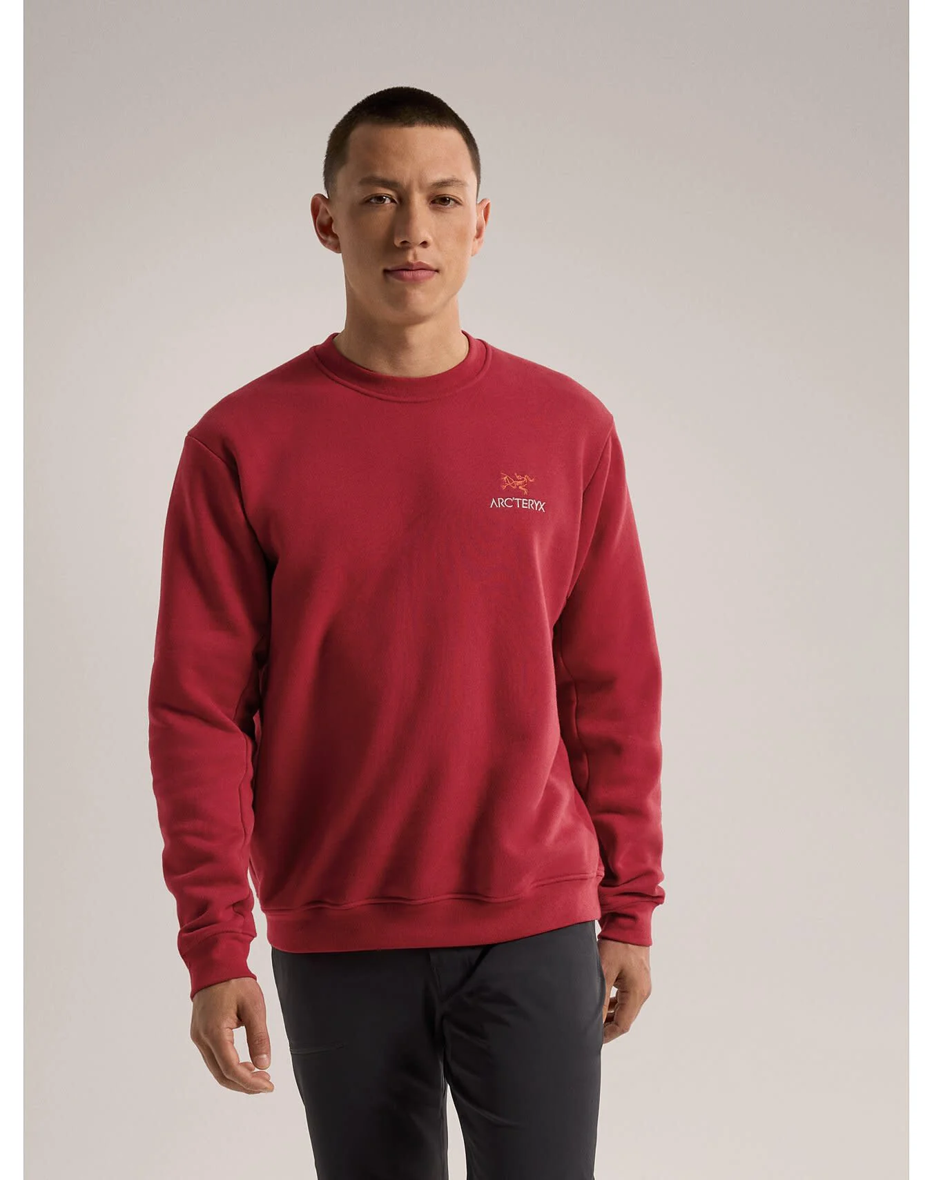 Emblem Fleece Crew Neck Pullover Men's