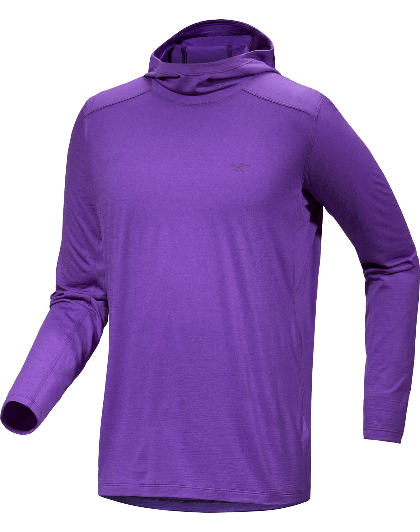 Ionia Merino Wool Hoody Men's