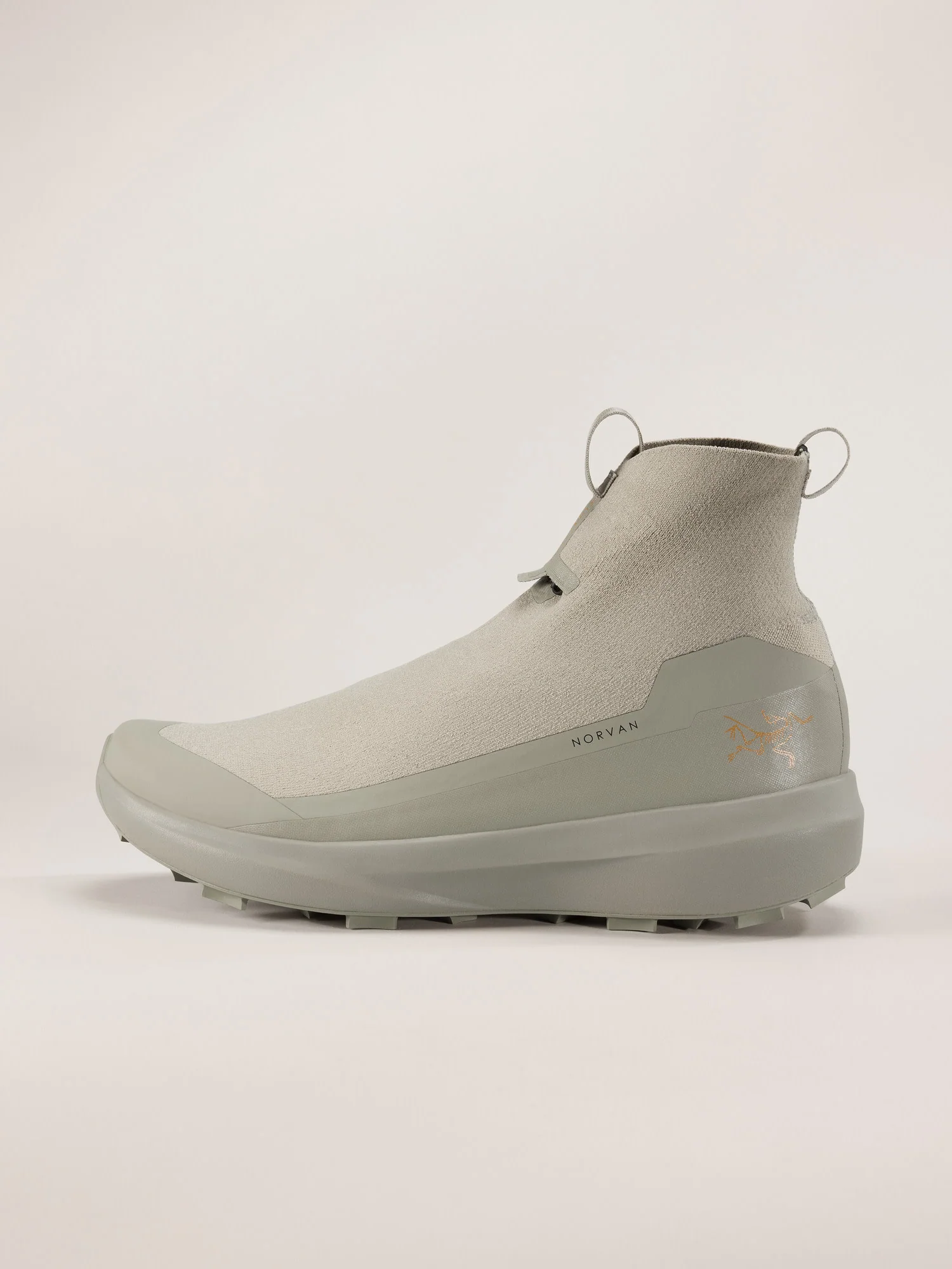 Norvan 4 Nivalis GTX Shoe Men's