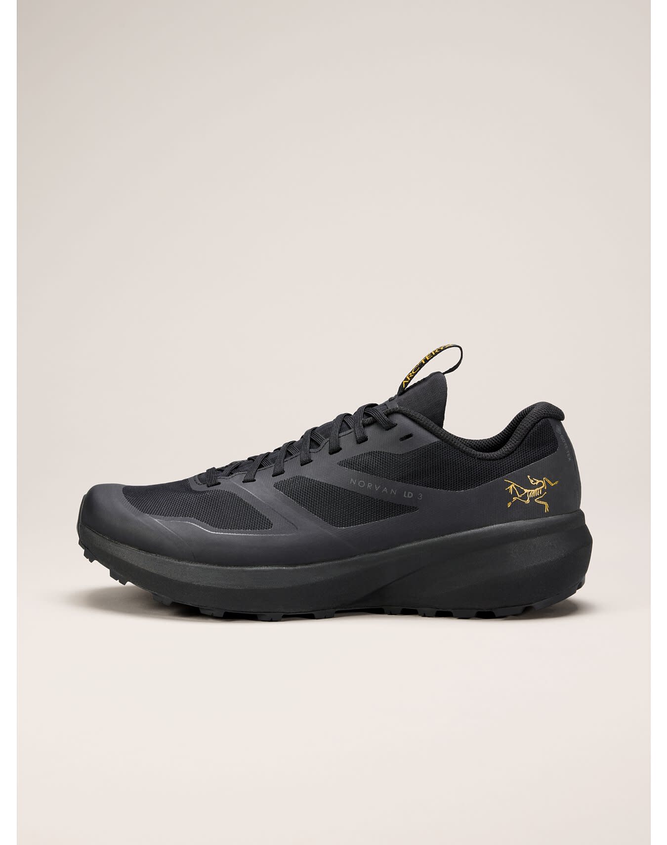 Norvan LD 3 GTX Shoe Men's