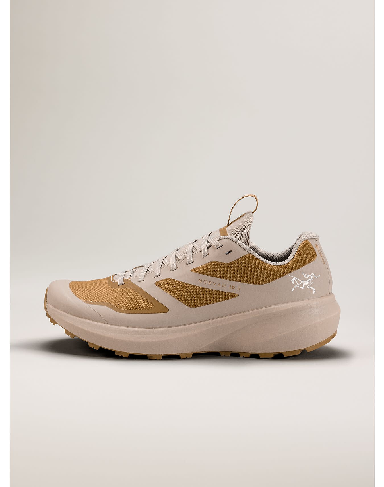 Norvan LD 3 GTX Shoe