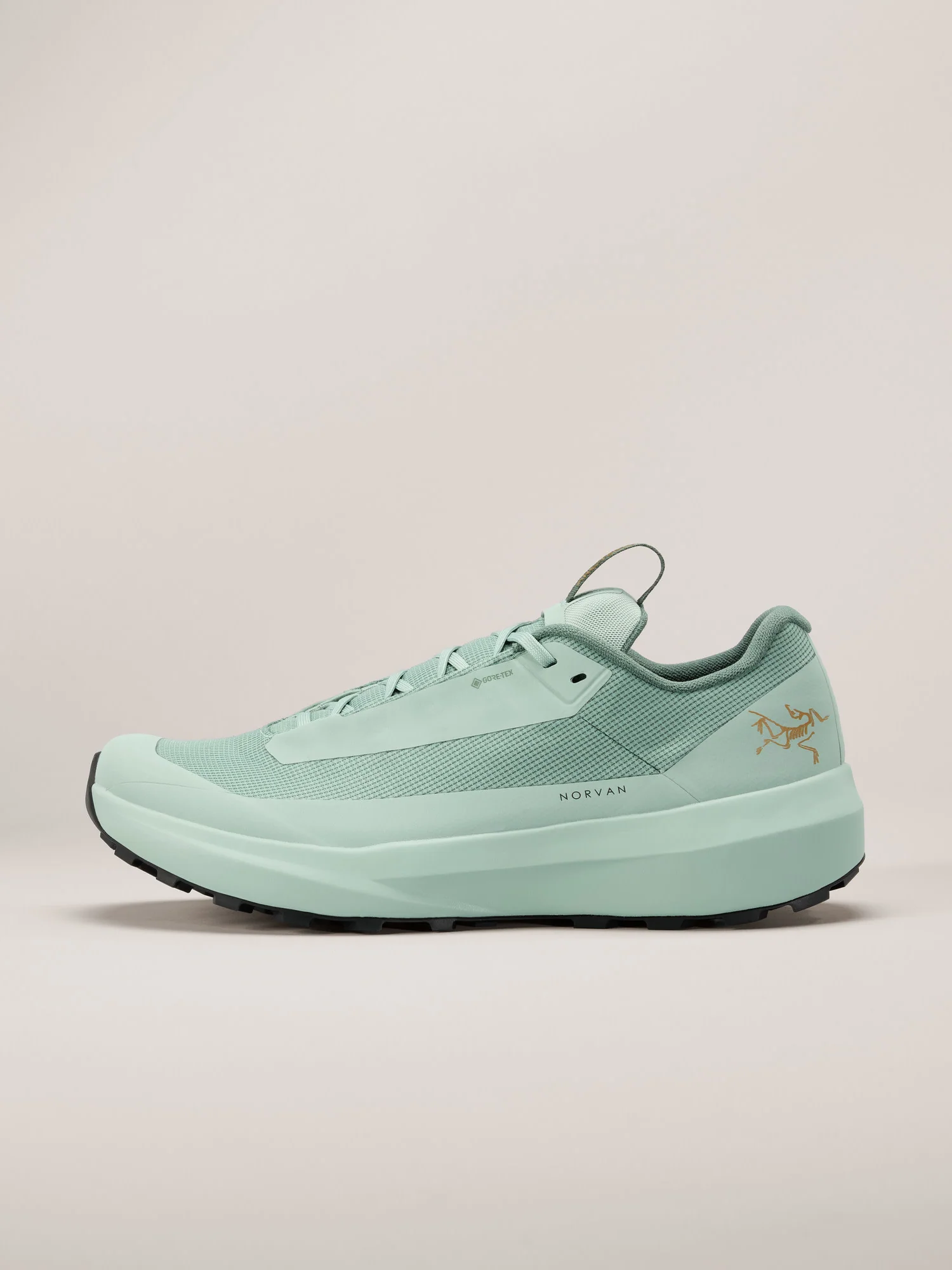 Norvan LD 4 GTX Shoe Men's