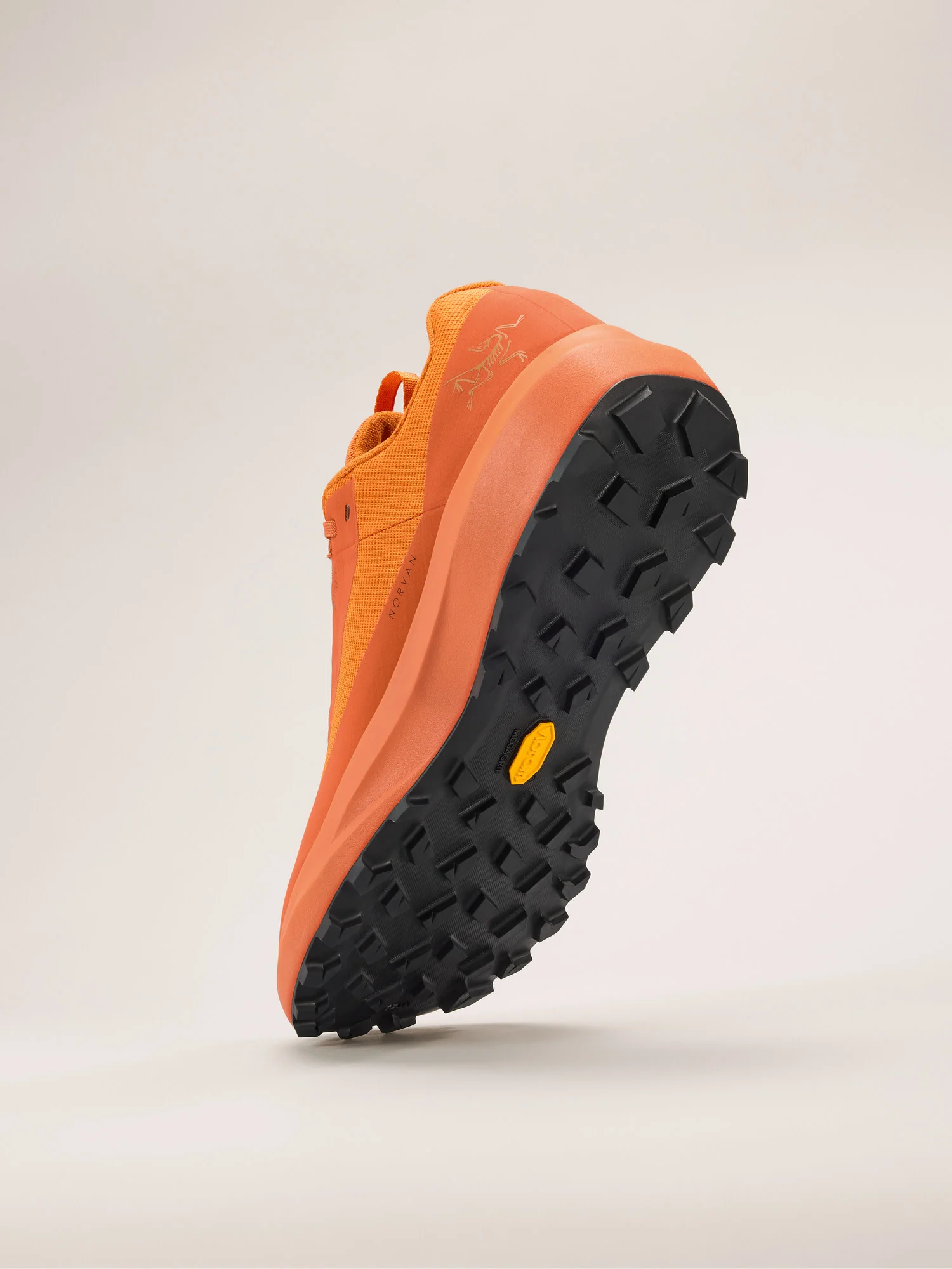 Norvan LD 4 GTX Shoe Men's - Image 4