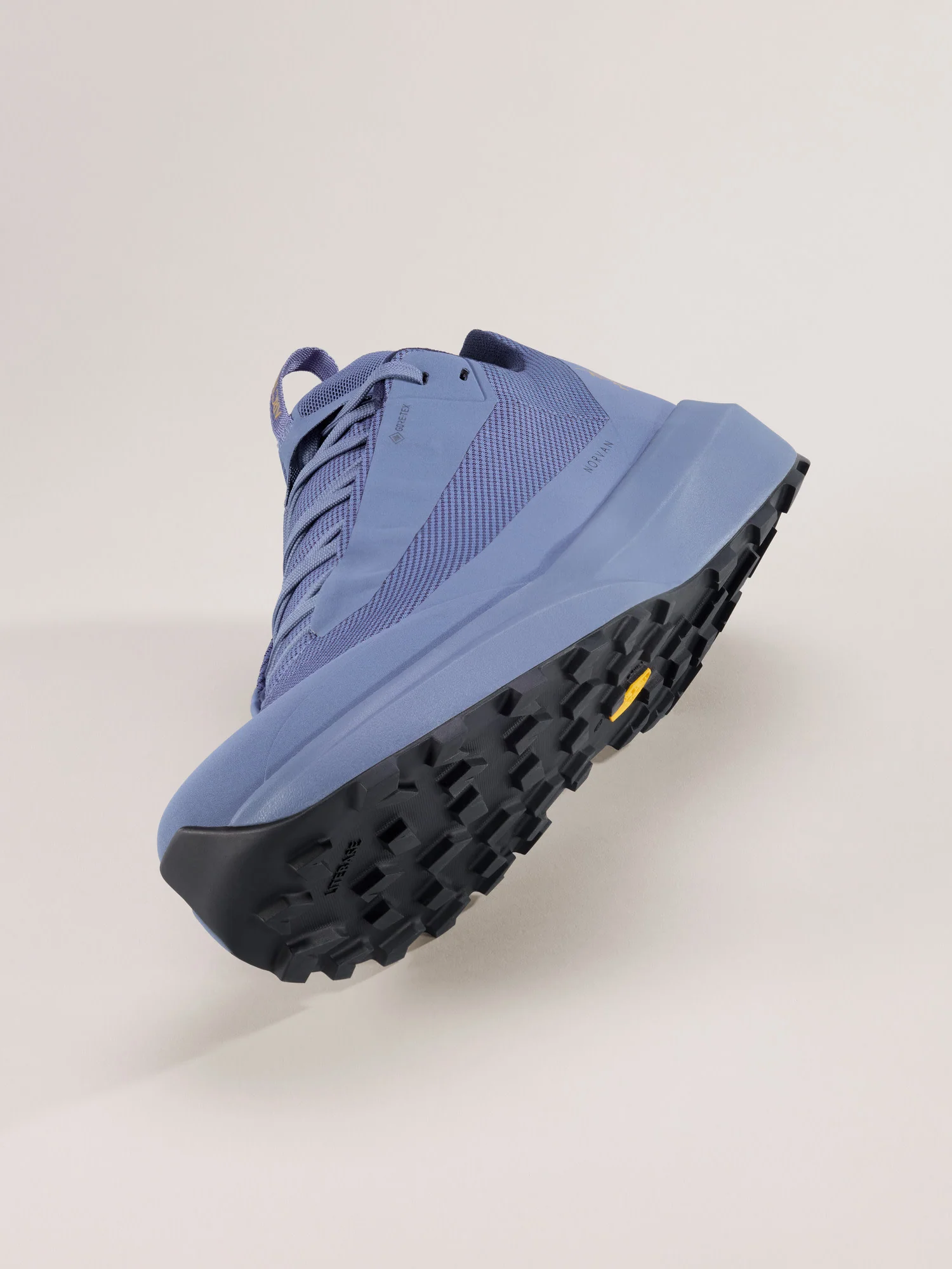 Norvan LD 4 GTX Shoe Men's - Image 5