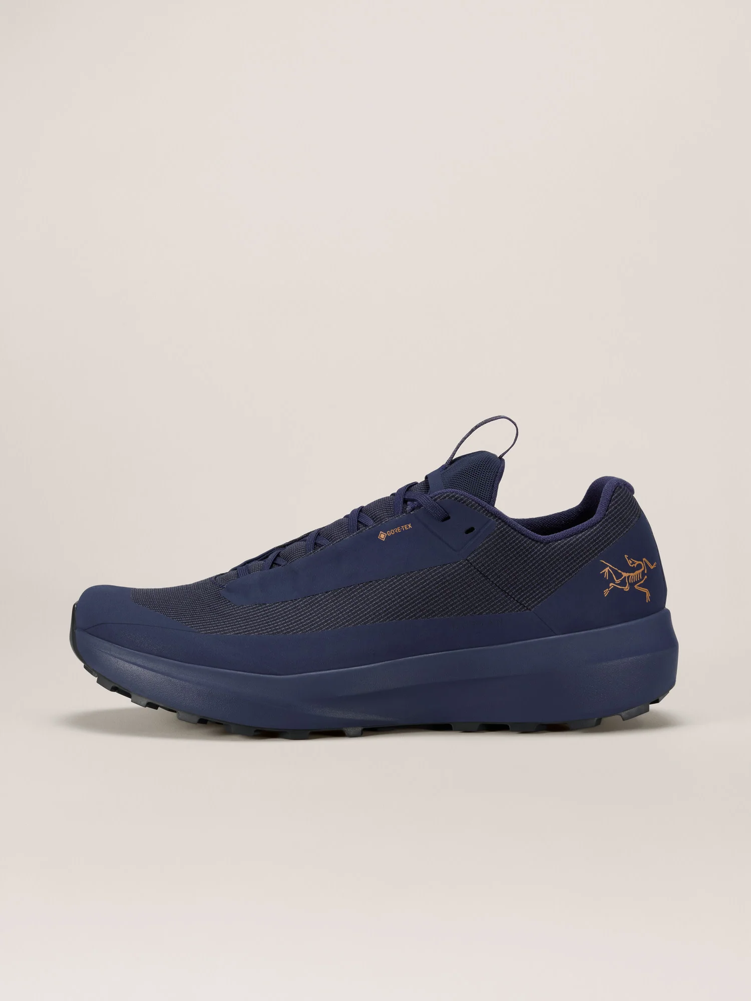 Norvan LD 4 GTX Shoe Men's