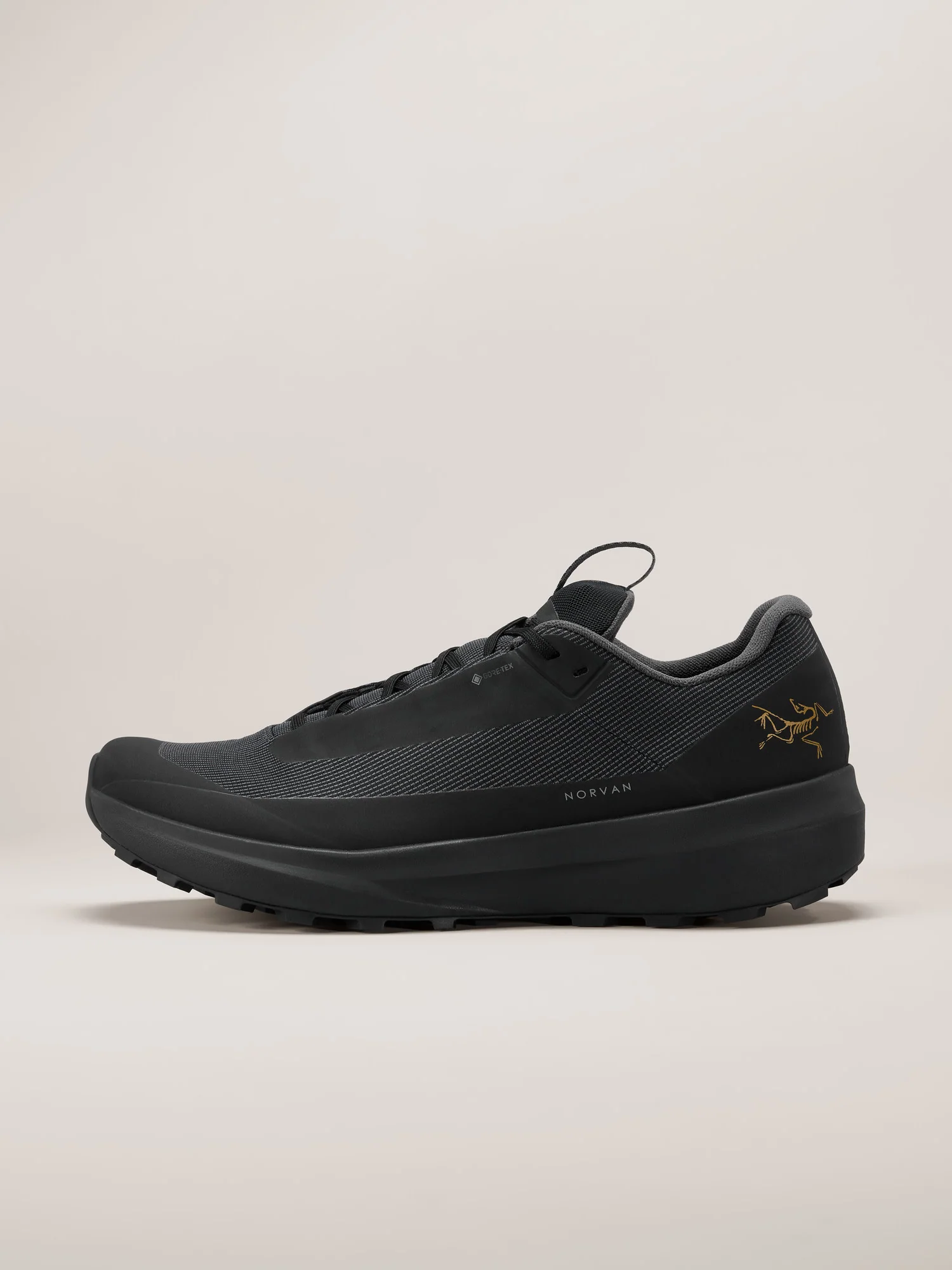 Norvan LD 4 GTX Shoe Women's