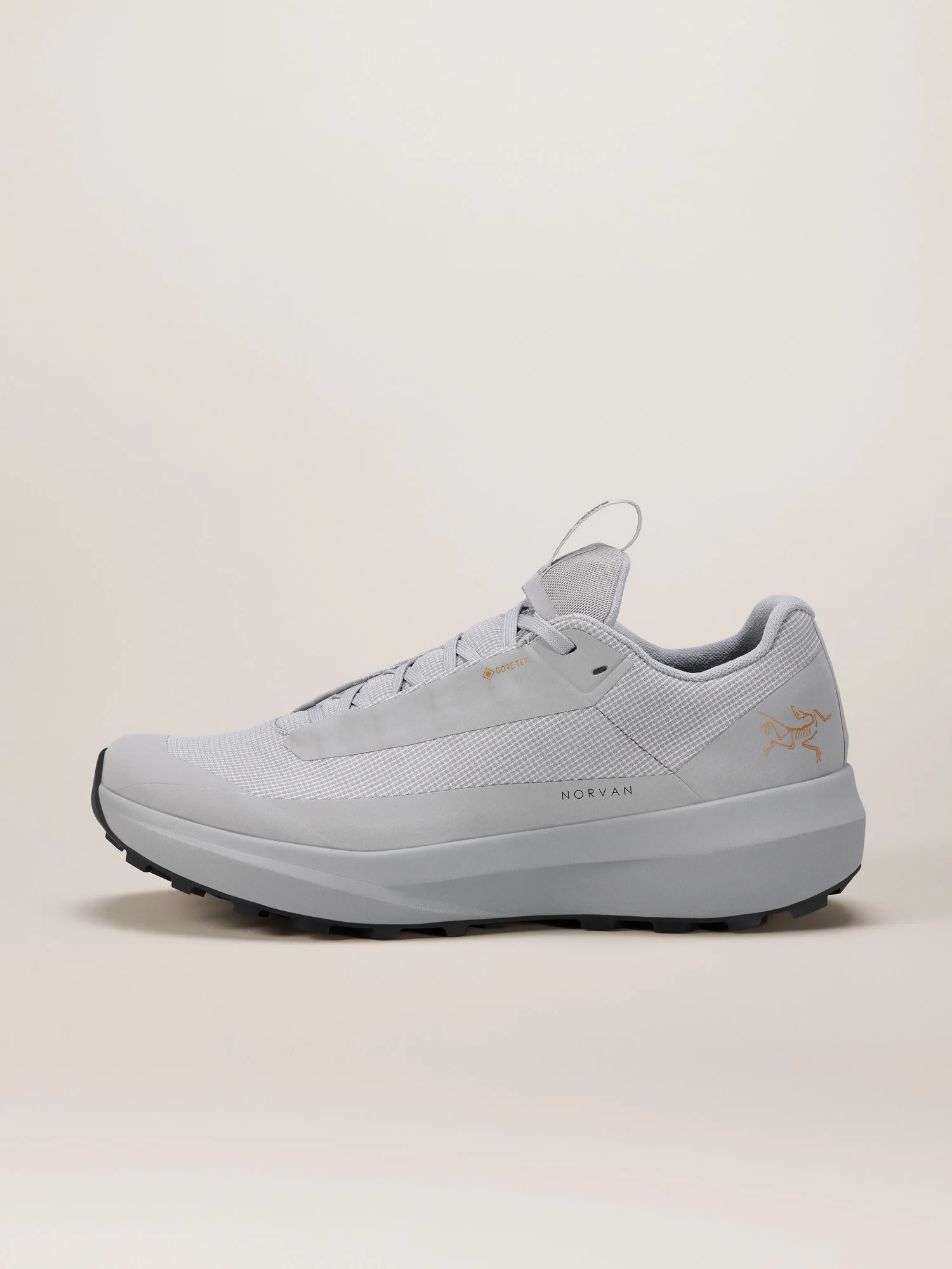 Norvan LD 4 GTX Shoe Women's