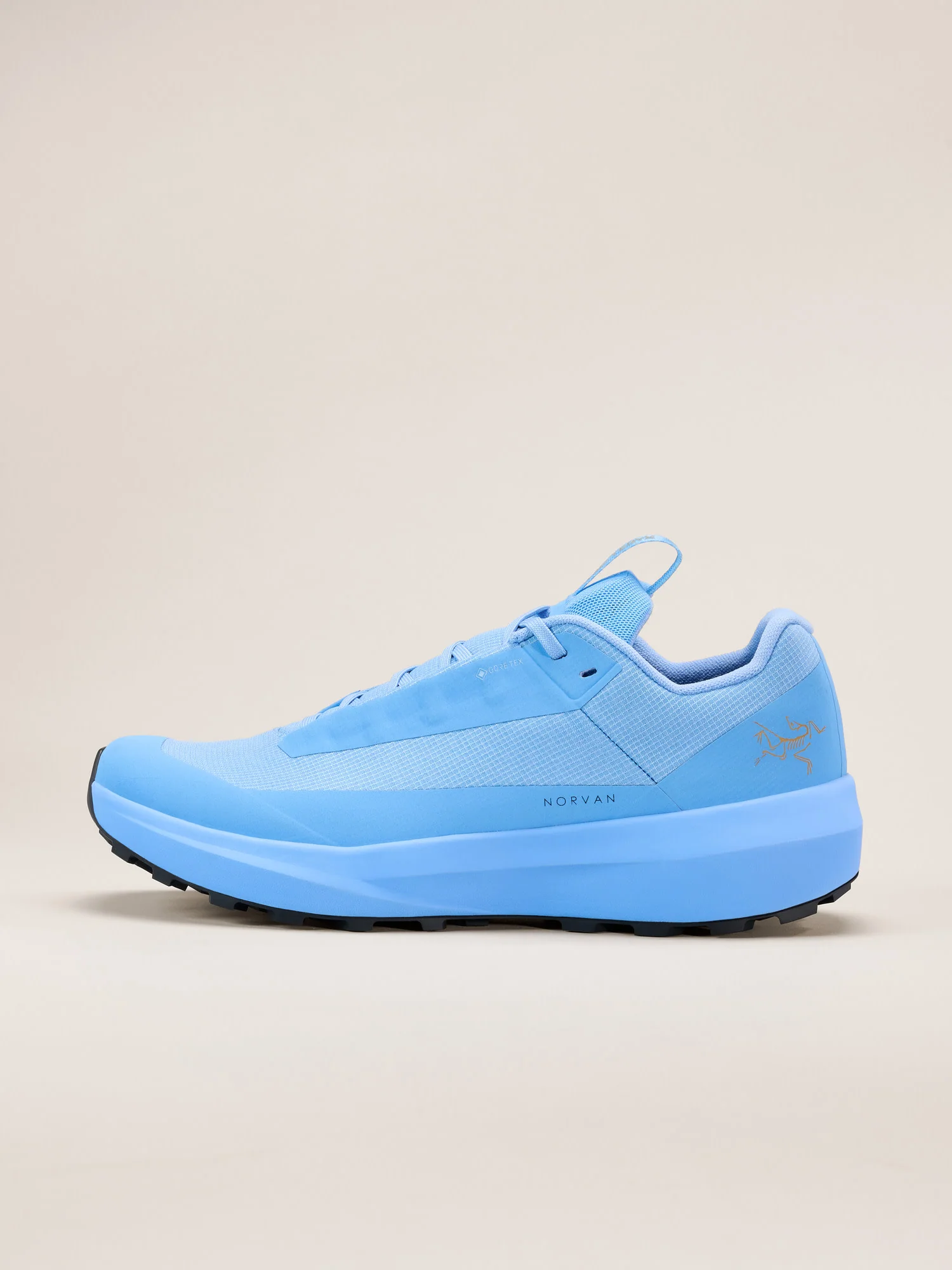Norvan LD 4 GTX Shoe Women's