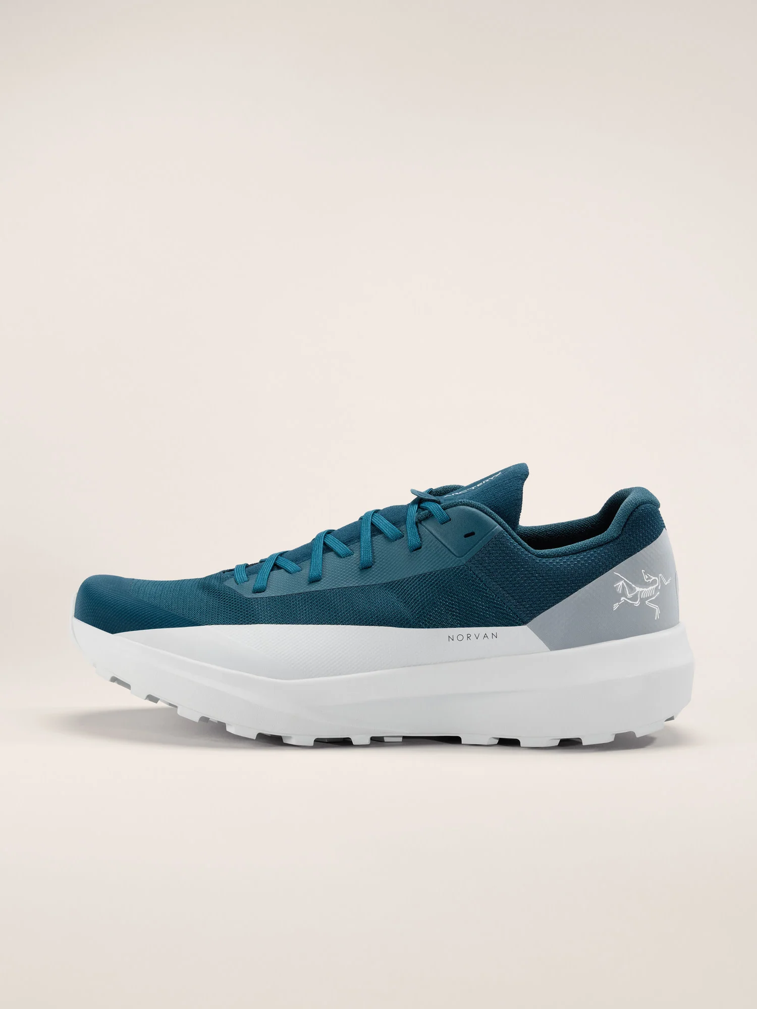 Norvan LD 4 Shoe Men's