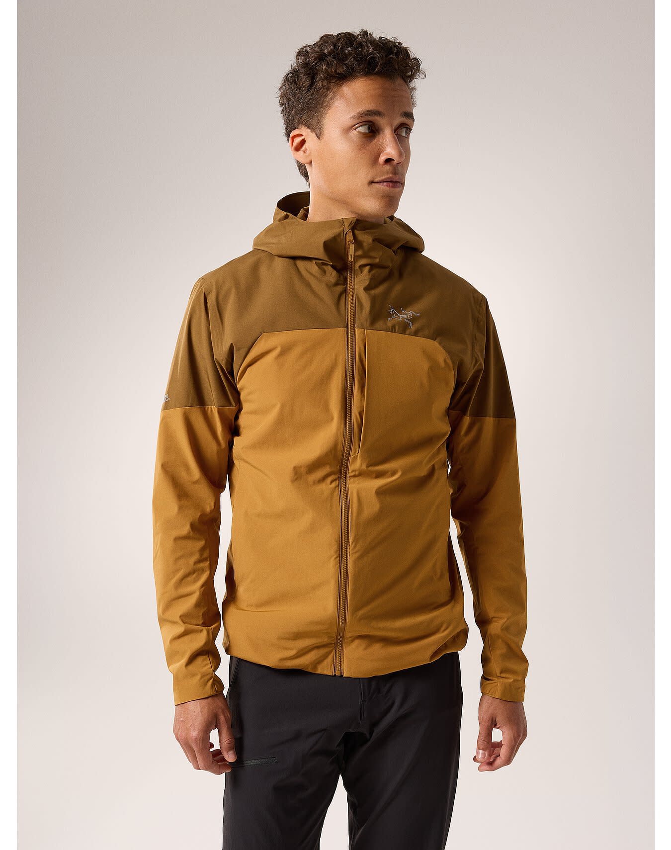Proton Hybrid Hoody Men's