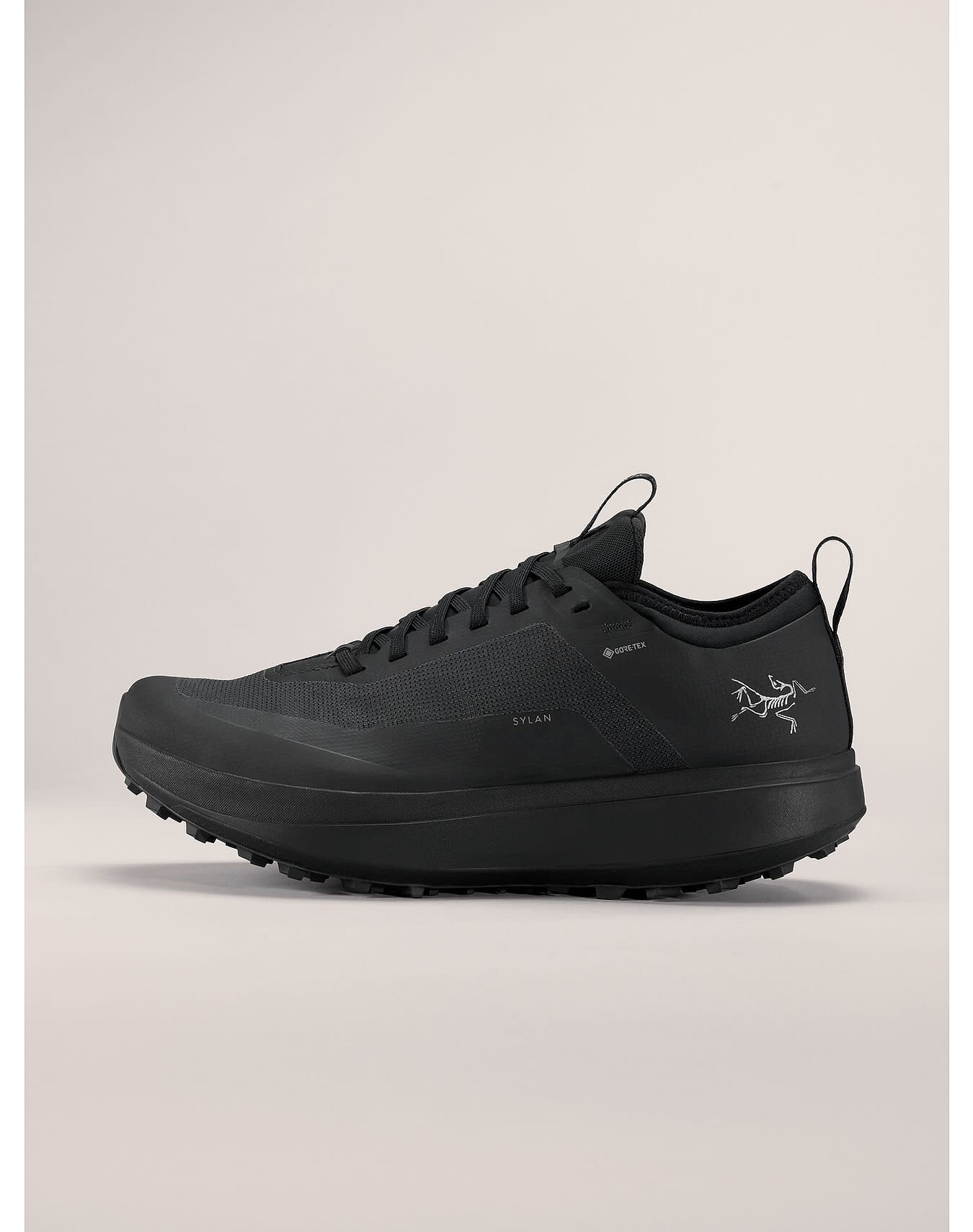 Sylan GTX Shoe Men's