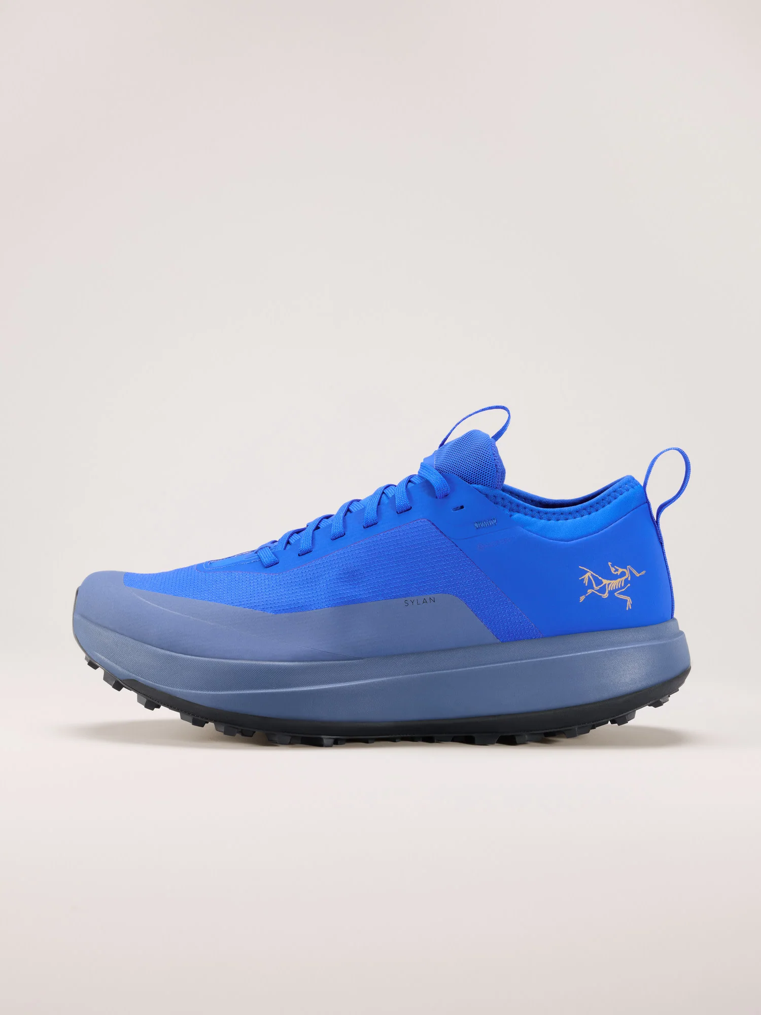 Sylan GTX Shoe Men's