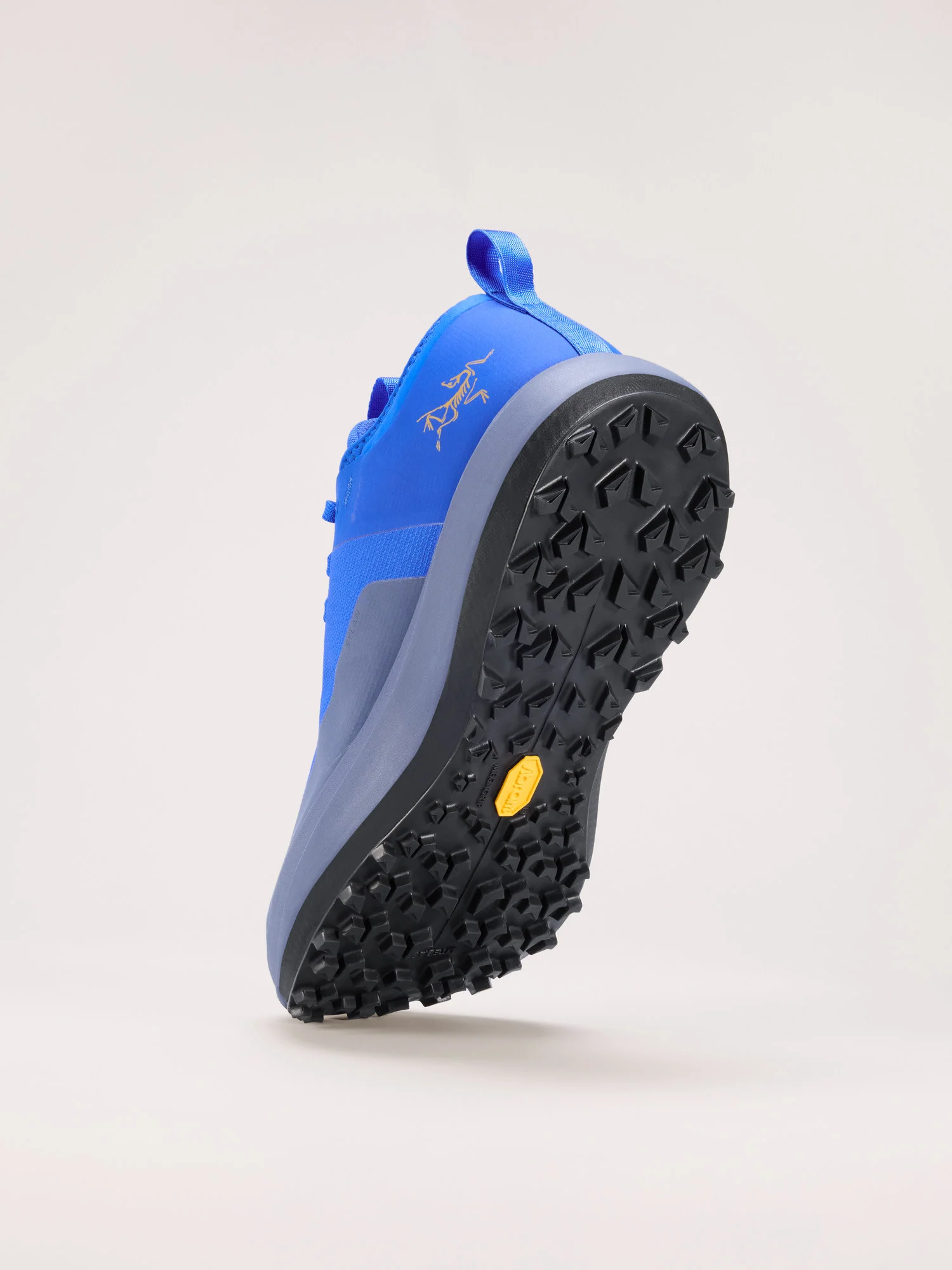 Sylan GTX Shoe Men's - Image 4