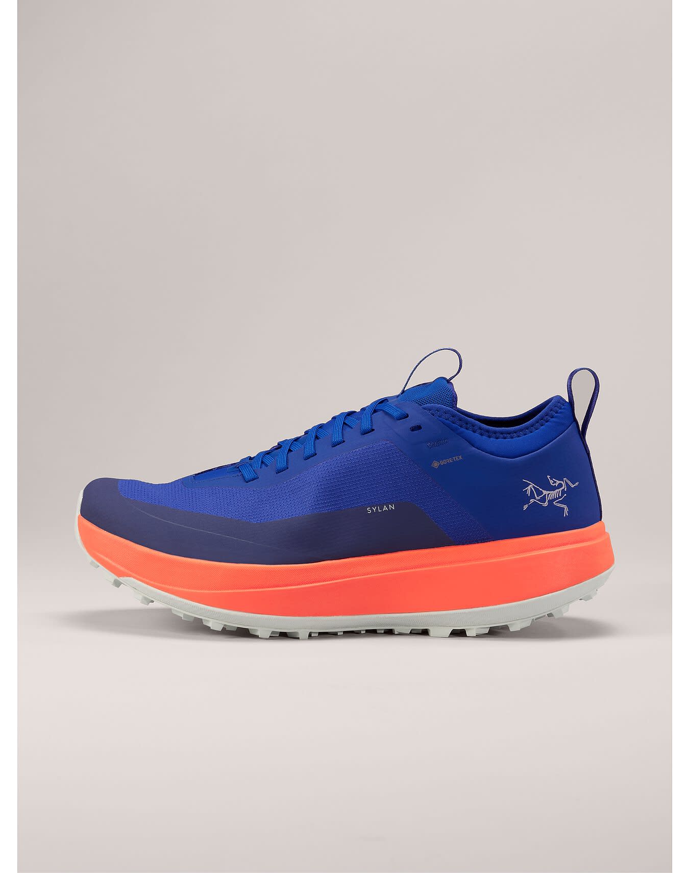 Sylan GTX Shoe Men's
