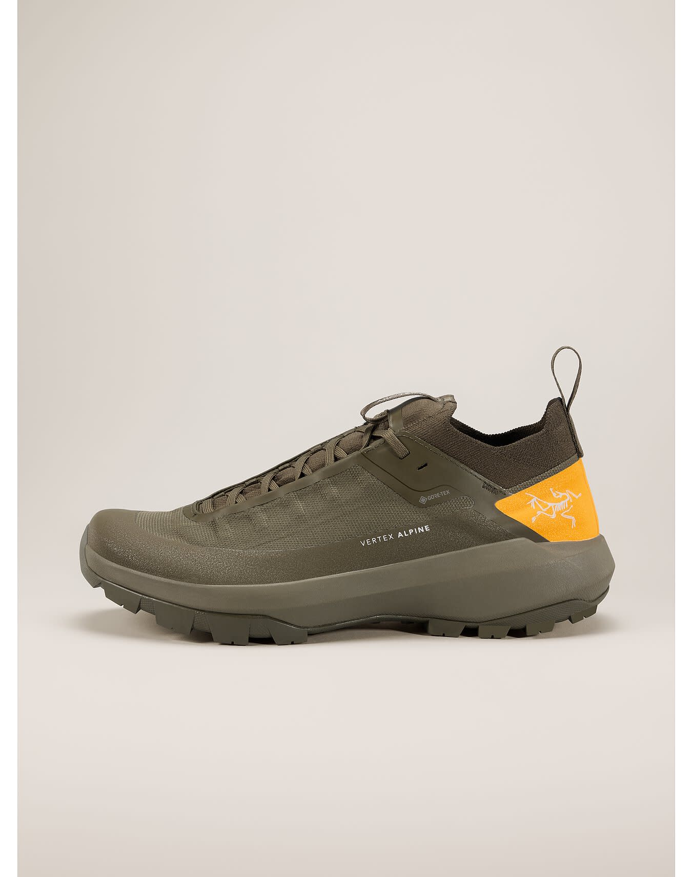 Vertex Alpine GTX Shoe Men's