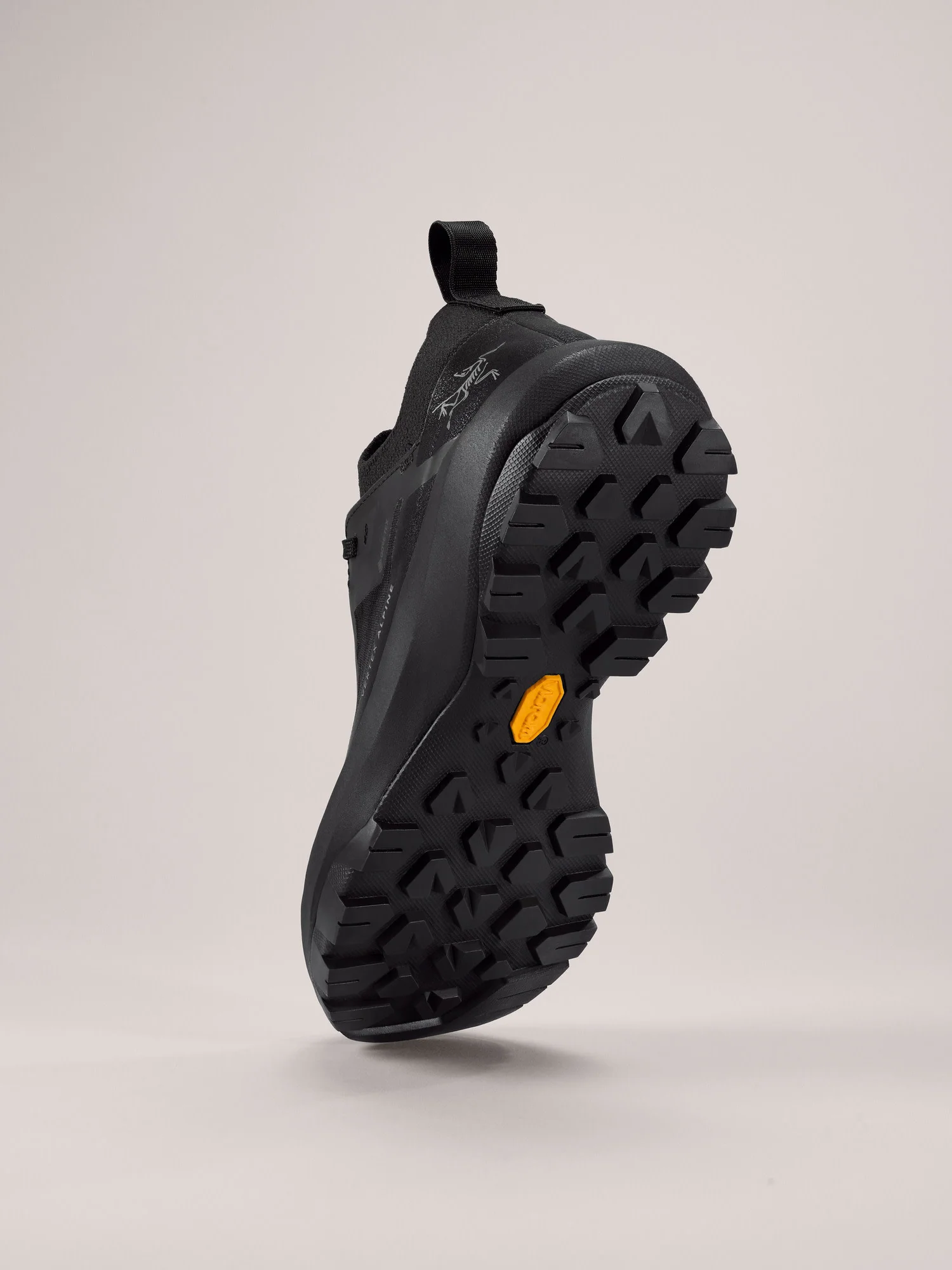 Vertex Alpine GTX Shoe Women's - Image 4